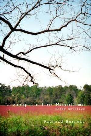 Living in the Meantime de Richard Barnett