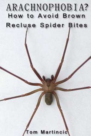 Arachnophobia? How to Avoid Brown Recluse Spider Bites