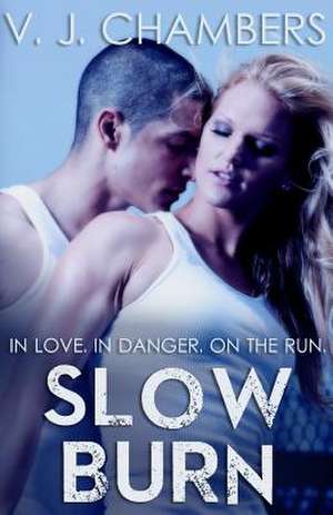 Slow Burn de V. J. Chambers