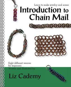 Introduction to Chain Mail de Liz Cademy