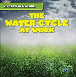 The Water Cycle at Work de George Pendergast