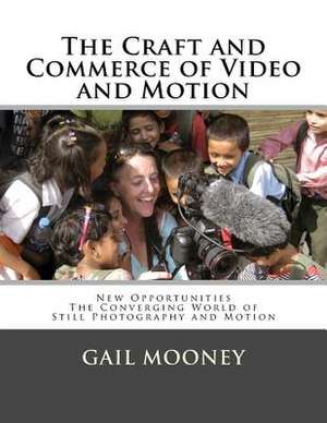 The Craft and Commerce of Video and Motion de Gail Mooney