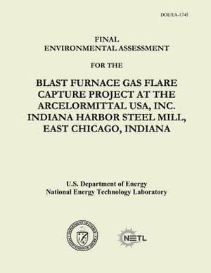 Final Environmental Assessment for the Blast Furnace Gas Flare Capture Project at the Arcelormittal USA, Inc. Indiana Harbor Steel Mill, East Chicago, de U. S. Department of Energy