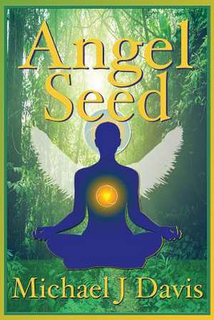 Angel Seed de Michael J. Davis