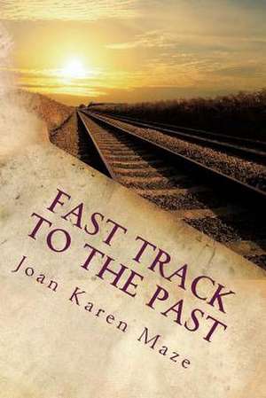 Fast Track to the Past de Joan Karen Maze