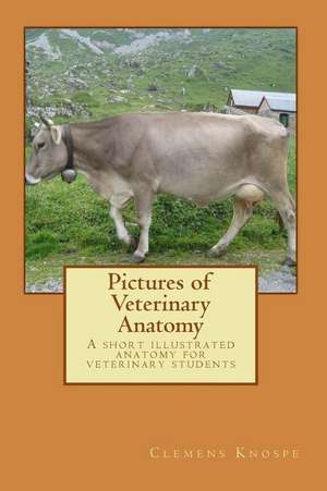 Pictures of Veterinary Anatomy de Dr Clemens Karl Knospe