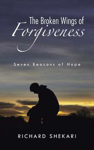 The Broken Wings of Forgiveness de Richard Shekari