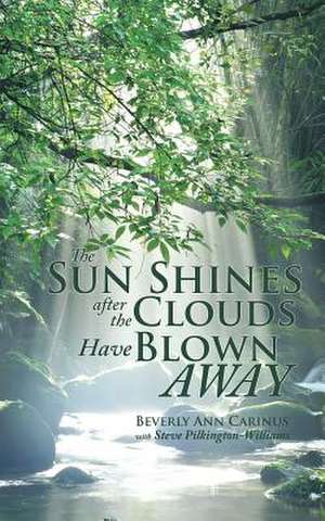 The Sun Shines After the Clouds Have Blown Away de Beverly Ann Carinus