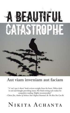 A Beautiful Catastrophe de Nikita Achanta