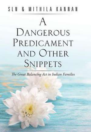 A Dangerous Predicament and Other Snippets de Sln &. Mithila Kannan