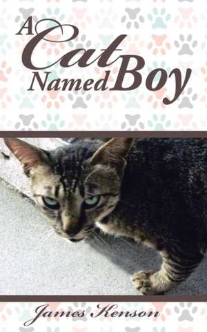 A Cat Named Boy de James Kenson