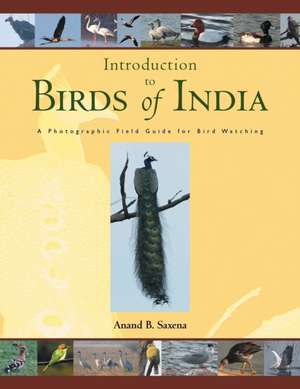 Birds of India de Anand