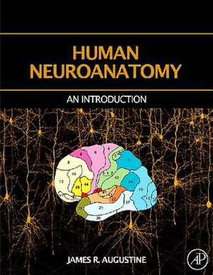 Human Neuroanatomy de James R. Augustine