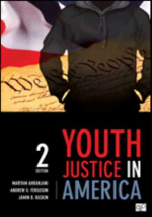 Youth Justice in America de Maryam Ahranjani