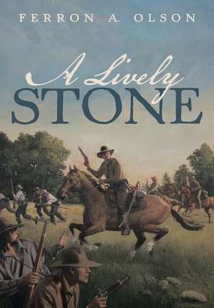 A Lively Stone de Ferron A. Olson