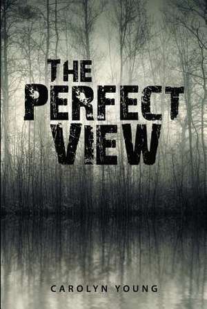 The Perfect View de Carolyn Young