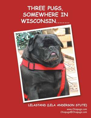 Three Pugs, Somewhere in Wisconsin........ de Lelastand (Lela Anderson Stute)