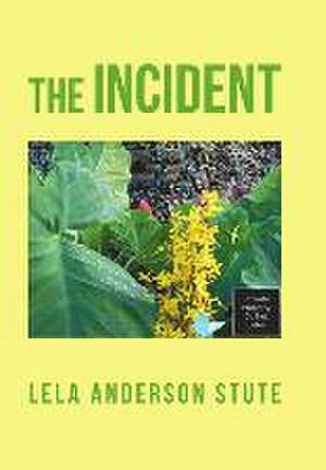 The Incident de Lela Anderson Stute