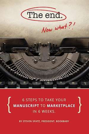 The End - Now What?!: 6 Steps to Take Your Manuscript to Marketplace In 6 Weeks de Steven Spatz