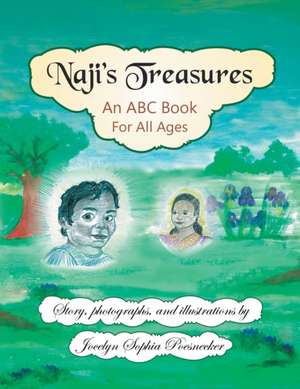 Naji's Treasures de Jocelyn Sophia Poesnecker