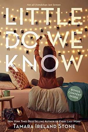 Little Do We Know de Tamara Ireland Stone