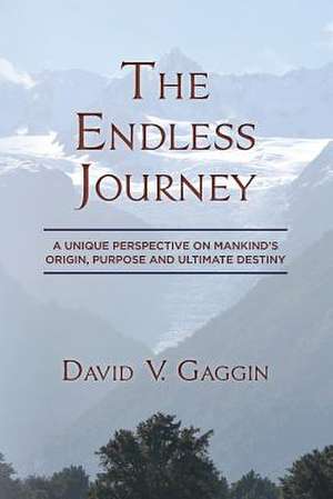 The Endless Journey de David V. Gaggin