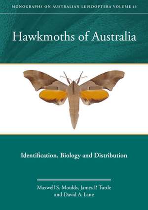 Hawkmoths of Australia de Maxwell S Moulds