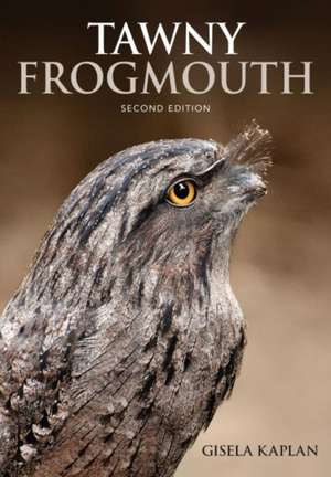 Tawny Frogmouth de Gisela Kaplan