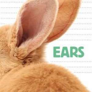 Ears de Katrine Crow