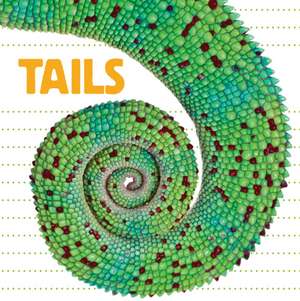 Tails de Katrine Crow