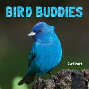 Bird Buddies de Curt Hart