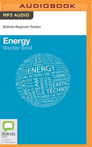 Energy de Vaclav Smil