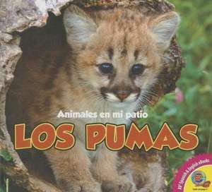 Los Pumas de Aaron Carr