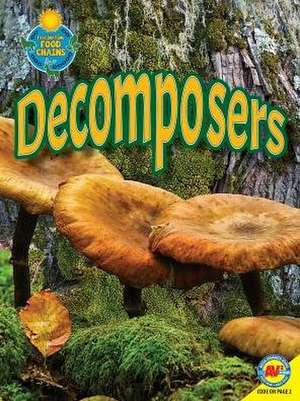 Decomposers de Megan Lappi