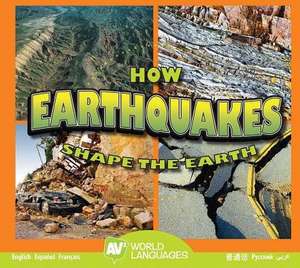 How Earthquakes Shape the Earth de Megan Cuthbert