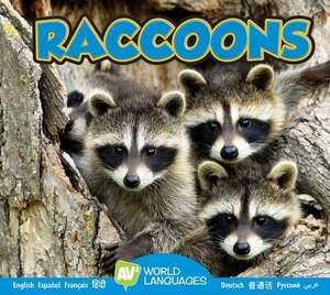 Raccoons de Jordan McGill