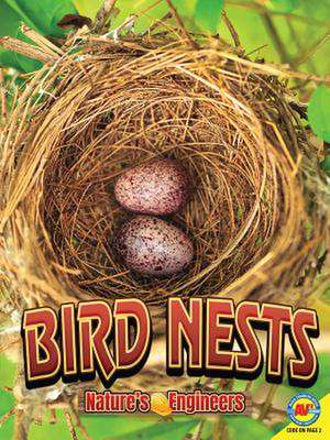 Bird Nests de Stacy Tornio