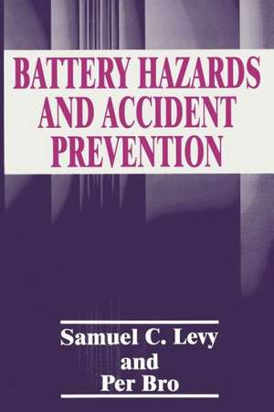 Battery Hazards and Accident Prevention de P. Bro