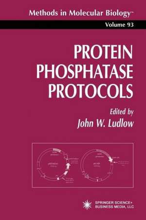 Protein Phosphatase Protocols de John W. Ludlow