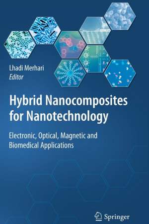 Hybrid Nanocomposites for Nanotechnology: Electronic, Optical, Magnetic and Biomedical Applications de Lhadi Merhari