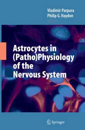 Astrocytes in (Patho)Physiology of the Nervous System de Vladimir Parpura