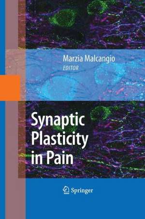 Synaptic Plasticity in Pain de Marzia Malcangio