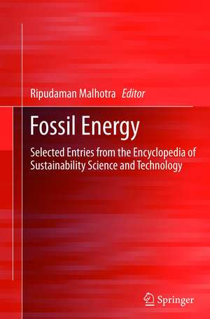 Fossil Energy: Selected Entries from the Encyclopedia of Sustainability Science and Technology de Ripudaman Malhotra