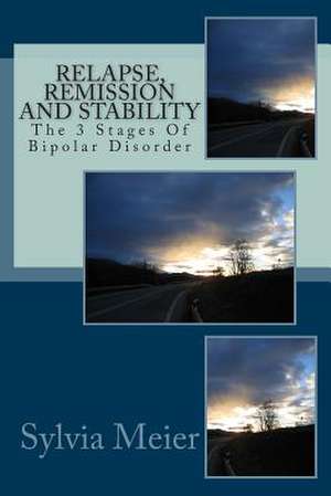 Relapse, Remission and Stability de Sylvia Meier