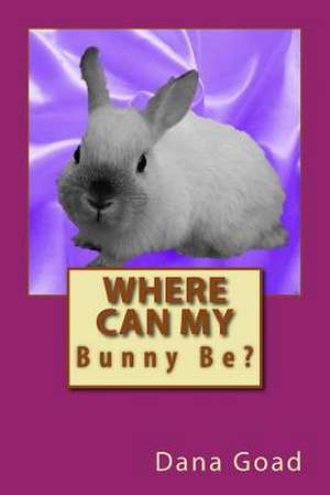 Where Can My Bunny Be? de Dana Goad