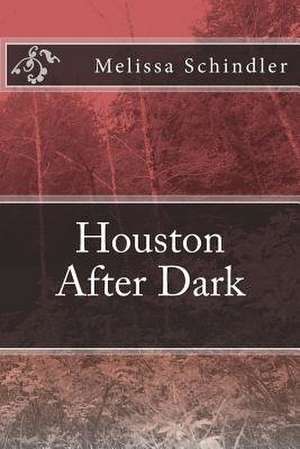 Houston After Dark de Melissa Ann Schindler