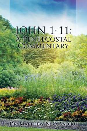 John 1-11: A Pentecostal Commentary de Dr Matthew N. O. Sadiku