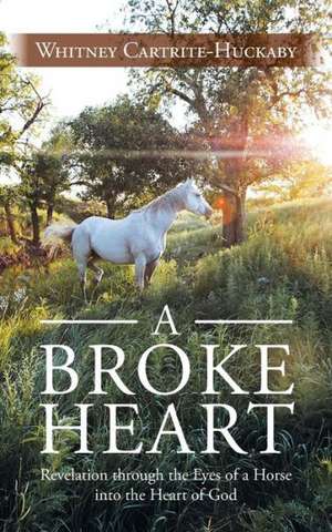 A Broke Heart de Whitney Cartrite-Huckaby