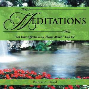 Meditations de Patricia a. David