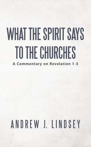 What the Spirit Says to the Churches de Andrew J. Lindsey